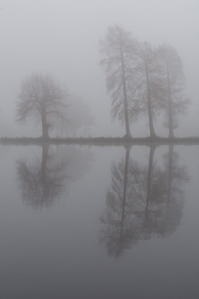 Foggy Reflection