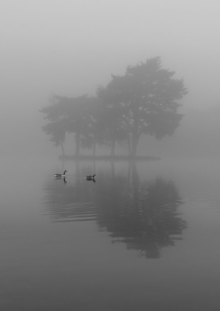 Foggy Reflection